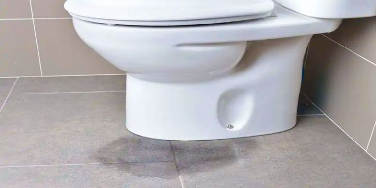 How to Protect Bathroom Floor From Urine | The Ultimate Guide
