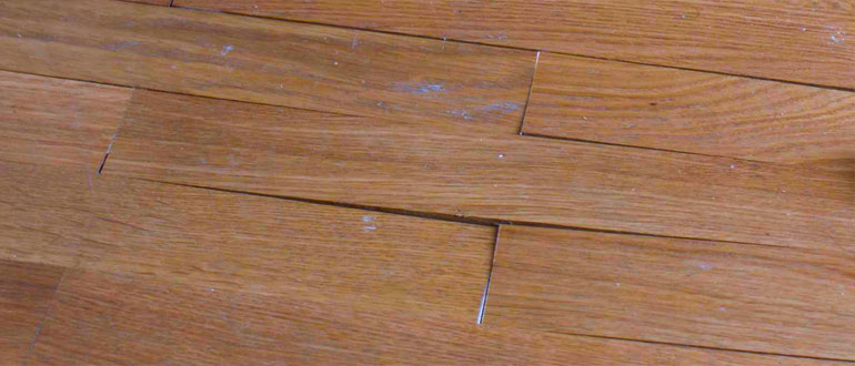 Maximizing the Longevity of Your Hardwood Flooring