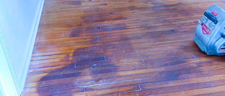 what-causes-dark-spots-on-hardwood-floors-the-best-practical-guide