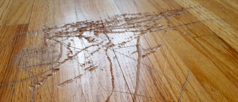 easy-diy-remove-scuff-marks-from-oak-hardwood-floor-with-eraser-youtube