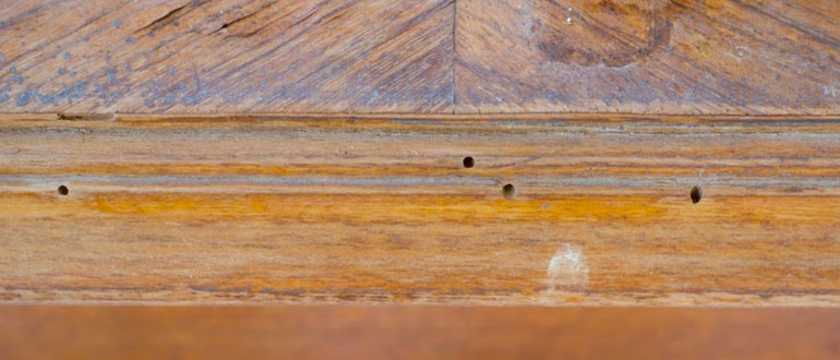 Step-by-Step Methods to fix hole in wood floor