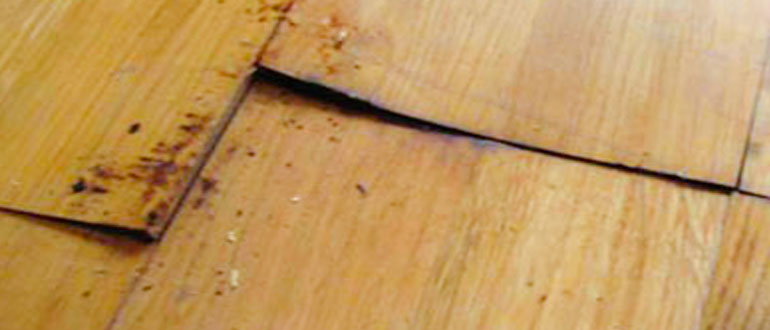 Removing Wood Flooring For Water Damage