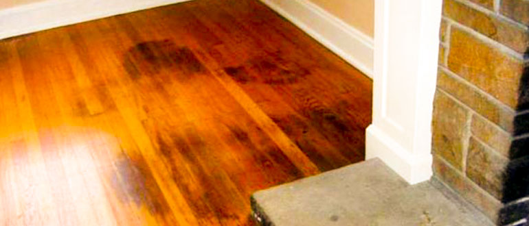 Prevention And Protection: The Causes of Black Spots on Hardwood Floors