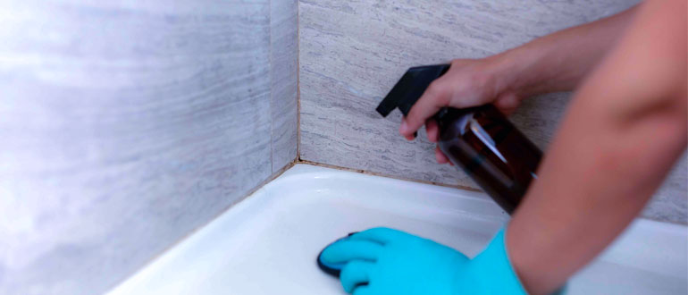 Gently Scrubbing and Cleaning the Grout Lines 
